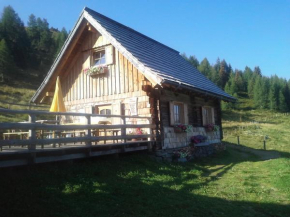 Almhütte auf der Laußnitz Alm - Auszeit in schöner Bergidylle auf 1836m